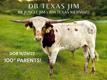DB Texas Jim