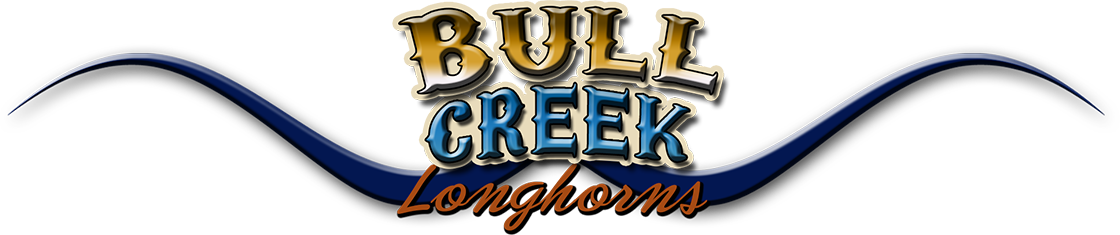 Bull Creek Longhorns Logo